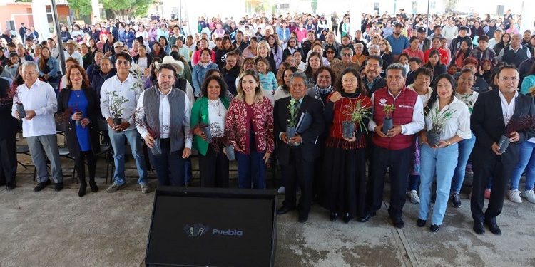 Gobierno de La Ciudad impulsa educación ambiental con 120 huertos escolares y nuevos santuarios de polinizadores