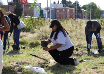 Gobierno de la Ciudad impulsa la creatividad con talleres este fin de semana