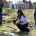 Gobierno de la Ciudad impulsa la creatividad con talleres este fin de semana