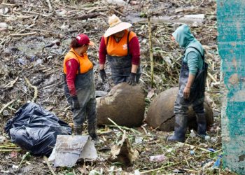 Impulsa gobierno de Pepe Chedraui la reforestación en Puebla capital con Raíces del Futuro