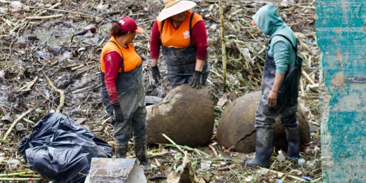 Impulsa gobierno de Pepe Chedraui la reforestación en Puebla capital con Raíces del Futuro