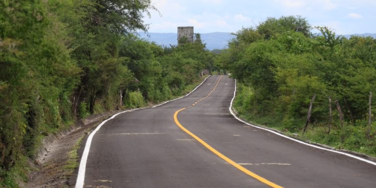 Borrador automático