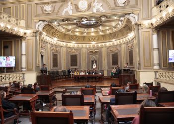 Protección al medio ambiente, destaca la diputada Beatriz Manrique en informe