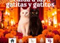 Refuerza Gobierno de la Ciudad medidas de protección animal por Día de Muertos