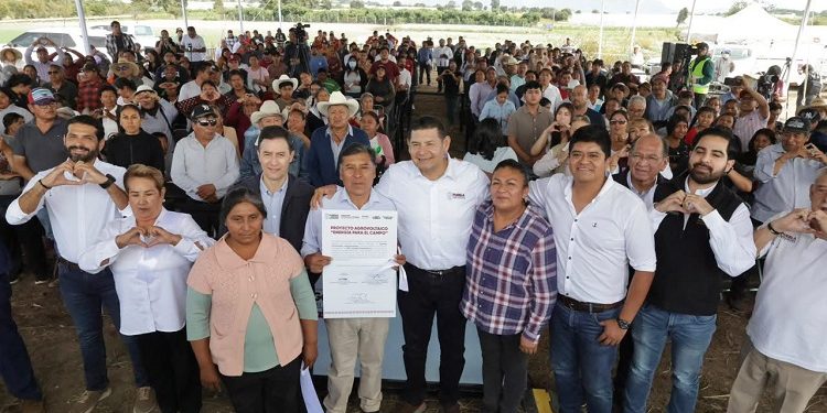 Primer sistema agrovoltaico del país en Puebla, Gobierno Estatal marca precedente