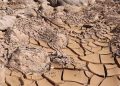 El Niño gana fuerza en América Latina: sequía, hambre y riesgo de inundaciones marcan los próximos meses