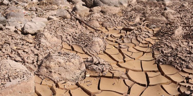 El Niño gana fuerza en América Latina: sequía, hambre y riesgo de inundaciones marcan los próximos meses