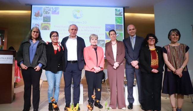 México traza ruta para conservar y restaurar su biodiversidad con 47 metas nacionales